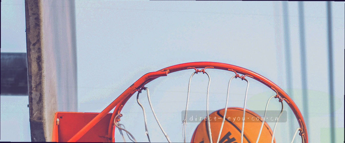 乐游体育问答中心帮助插画，一只几何豹子在足球场上奔跑引导用户
